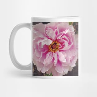 Carnation Mug